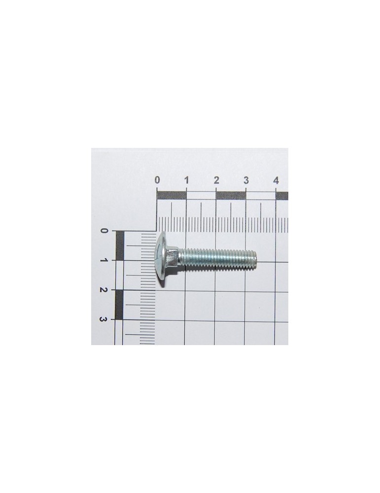 SCR. M6X1X30      U5732  4.6ZN