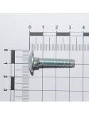 SCR. M6X1X30      U5732  4.6ZN