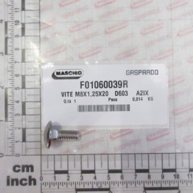 SCR. M8X1,25X20   D603    A2IX