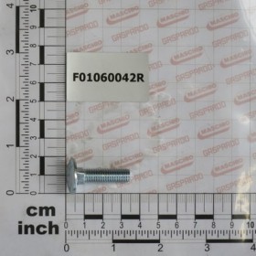 SCR. M8X1,25X30   U5732  4.6ZN