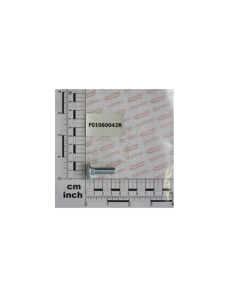 SCR. M8X1,25X30   U5732  4.6ZN