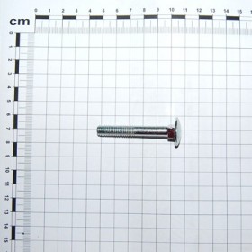 SCR. M8X1,25X55   U5732  4.6ZN