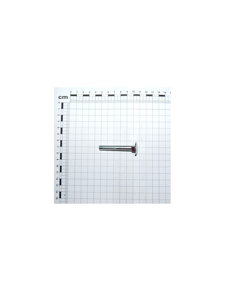 SCR. M8X1,25X55   U5732  4.6ZN