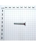 SCR. M8X1,25X55   U5732  4.6ZN