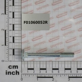 SCR. M8X1,25X80   U5732  4.6ZN