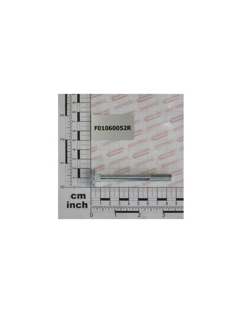 SCR. M8X1,25X80   U5732  4.6ZN