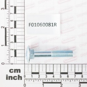SCR. M10X1,5X60   U5732  4.6ZN