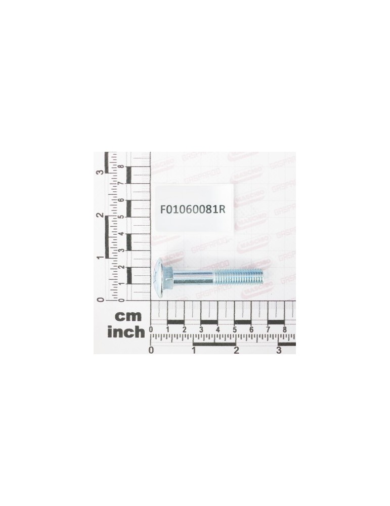 SCR. M10X1,5X60   U5732  4.6ZN