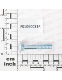SCR. M10X1,5X60   U5732  4.6ZN