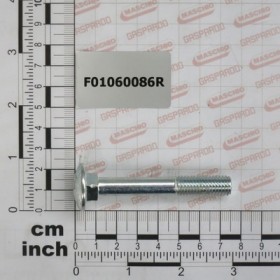 SCR. M10X1,5X70   U5732  4.6ZN