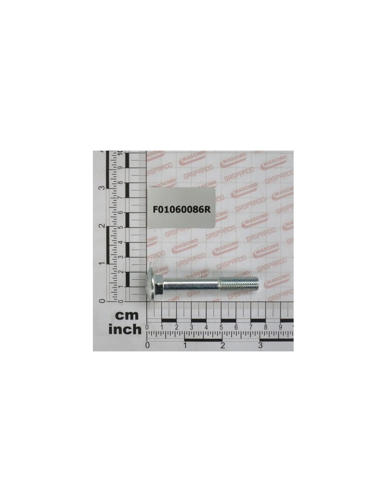 SCR. M10X1,5X70   U5732  4.6ZN