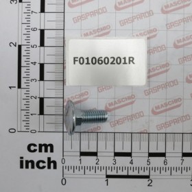 SCR. M8X1,25X20   U5731  4.6ZN