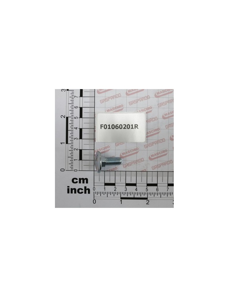 SCR. M8X1,25X20   U5731  4.6ZN