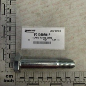 SCREW M20X2,5X110 D6914