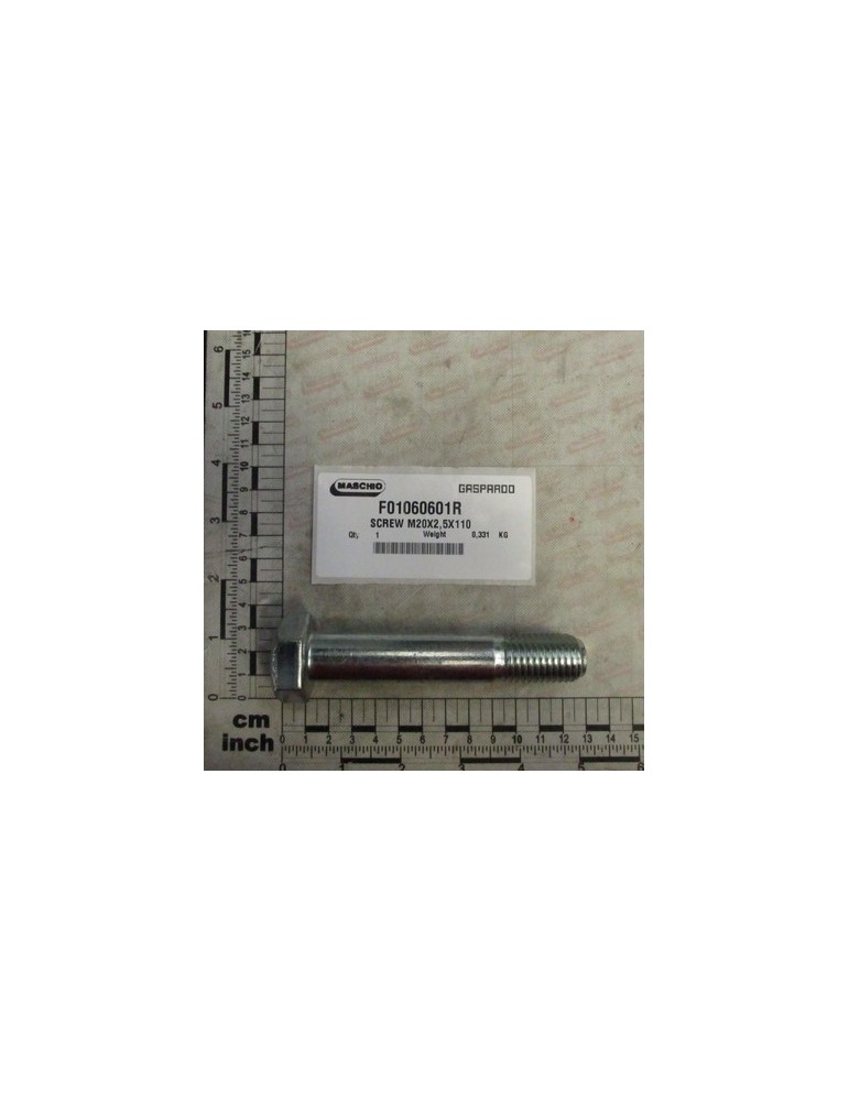 SCREW M20X2,5X110 D6914
