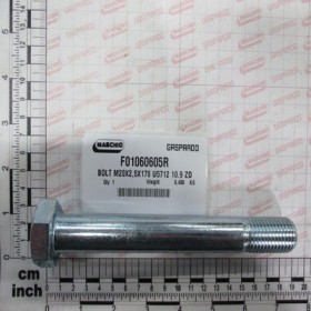 BOLT M20X2,5X170 U5712 10.9 ZD