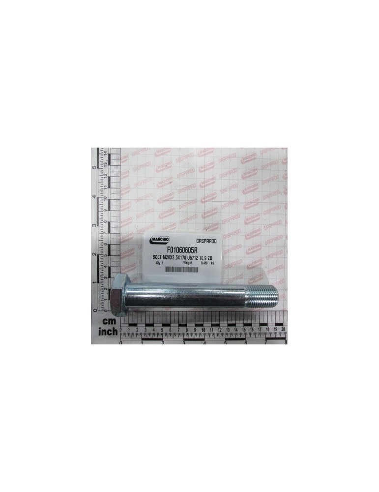 BOLT M20X2,5X170 U5712 10.9 ZD