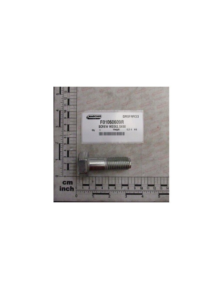 SCREW M20X2,5X60 U5712 D6914