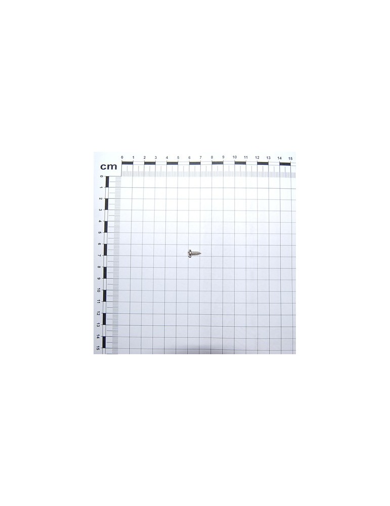 SCR. H3,5X1,34X9,5 U6954 4.8NI