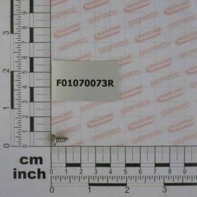 SCR. H4,2X1,41X9,5 U6954 4.8NI