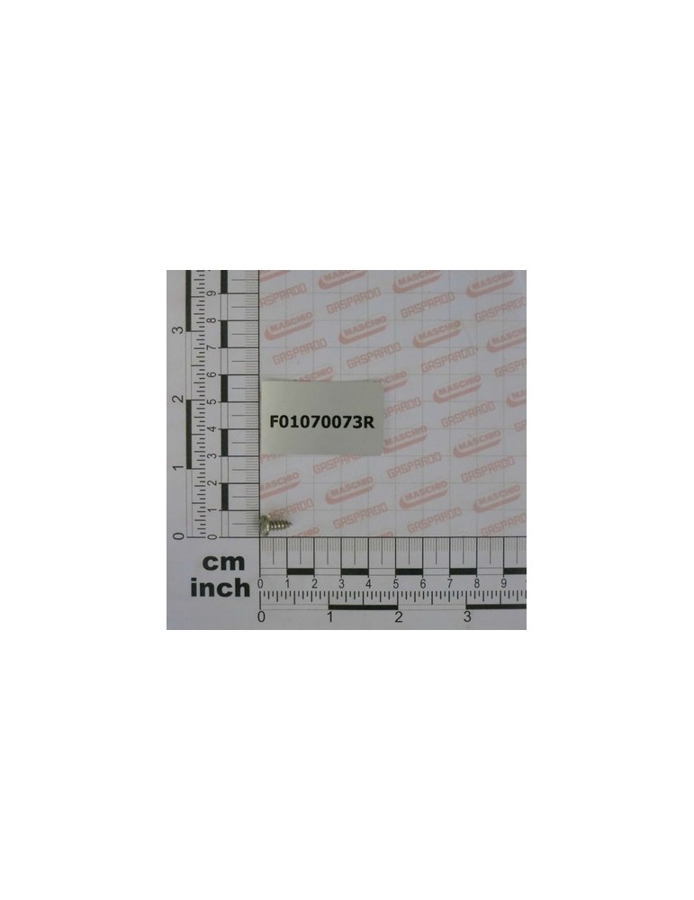 SCR. H4,2X1,41X9,5 U6954 4.8NI
