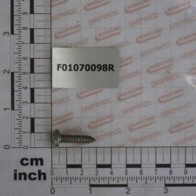 SCR. H6,3X1,81X25  U6954  A2IX