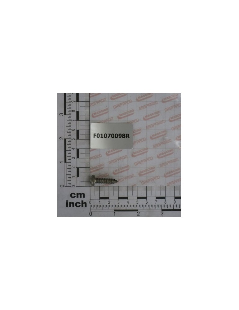 SCR. H6,3X1,81X25  U6954  A2IX