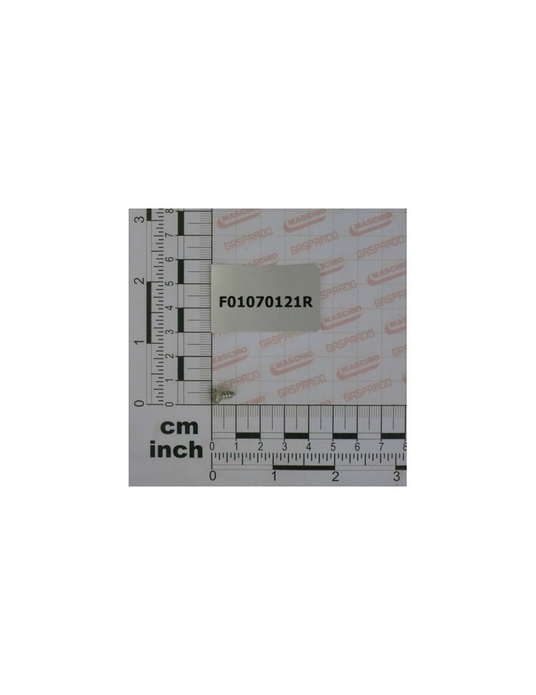 SCR. H3,9X1,34X9,5 U6955 4.8NI