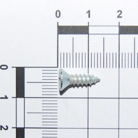 SCR. H3,9X1,34X13  U6955 4.8NI