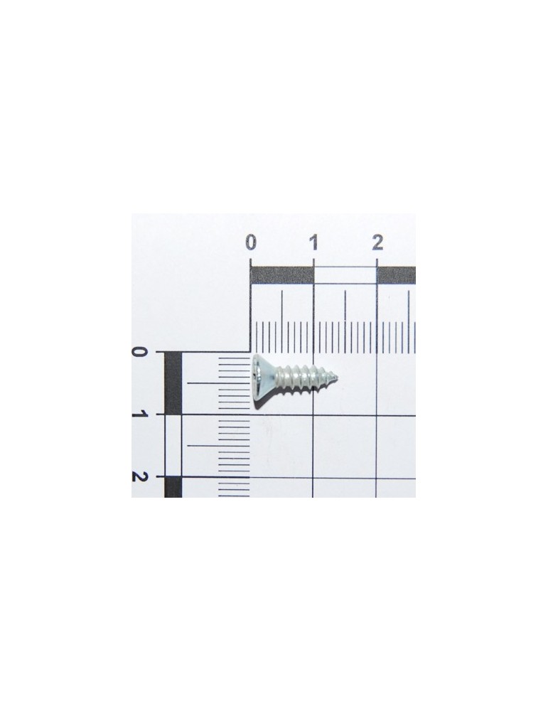 SCR. H3,9X1,34X13  U6955 4.8NI