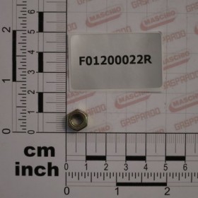 NUT M6X1         U5587   6.8ZN