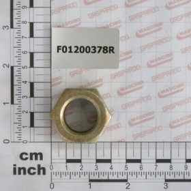 NUT M24X2        U5588   8.8ZN