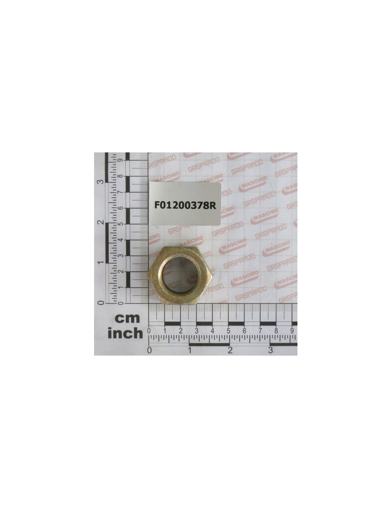 NUT M24X2        U5588   8.8ZN