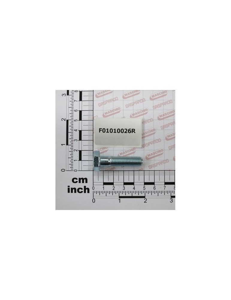 Maschio Gaspardo SURUB M10X1,25X40 U5738 8.8 ZN F01010026R