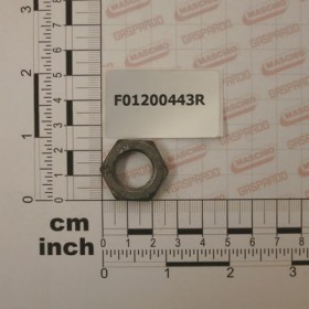 NUT M16X1,5      U5589    6SBR