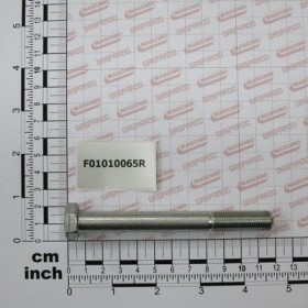 Maschio Gaspardo SURUB M12X1,25X110 5738 8.8 ZB F01010065R