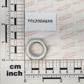 NUT  M20X2,5     U5589   6.8GE