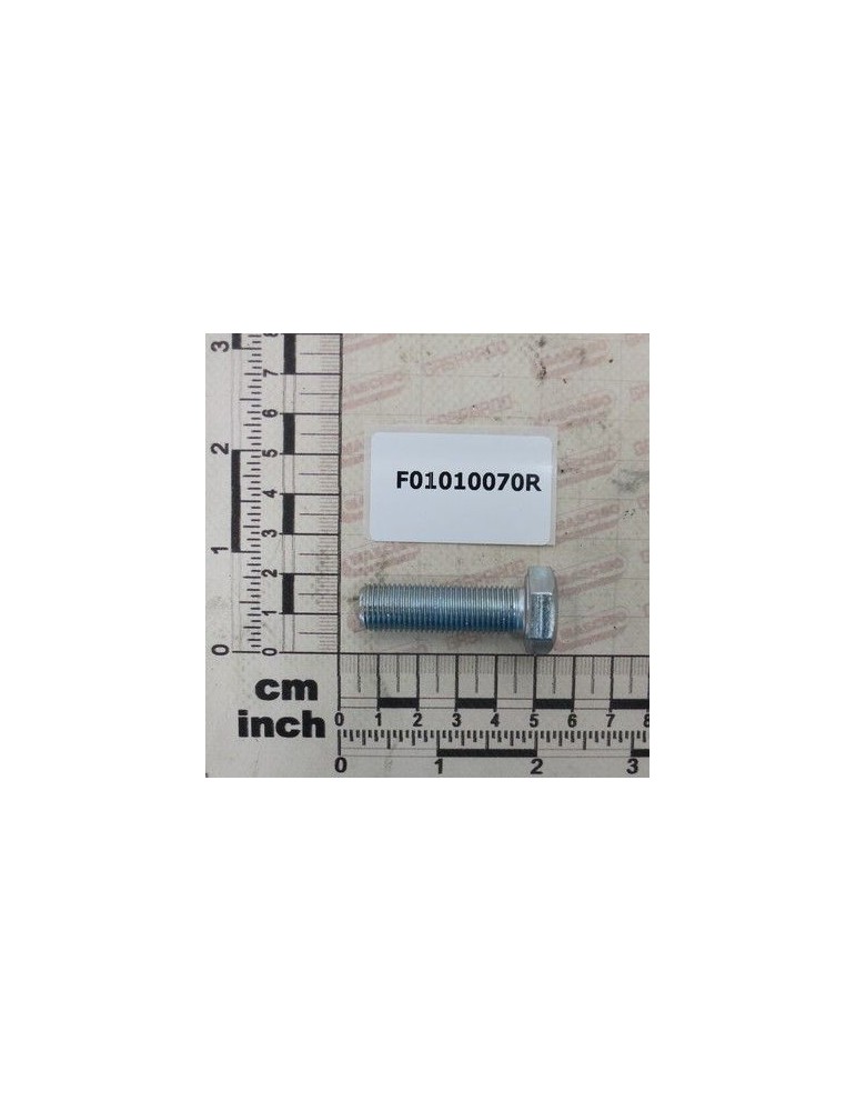 Maschio Gaspardo SURUB M12X1,25X40 U5740 10.9DZ F01010070R