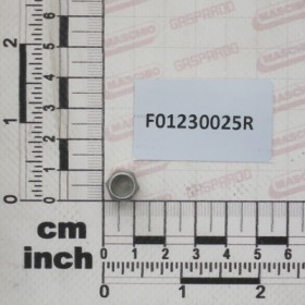 NUT  M6X1        D982    A2 IX