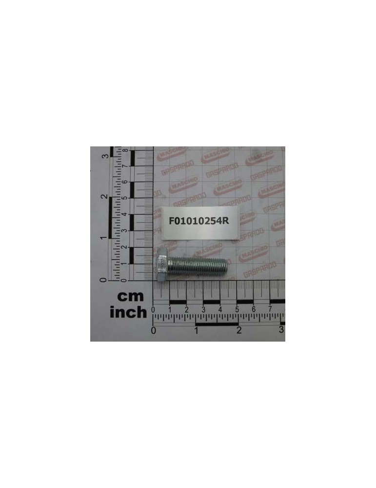 Maschio Gaspardo SURUB M10X1,25X 35 5740 8.8 ZB F01010254R