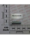 Maschio Gaspardo SURUB M10X1,25X 35 5740 8.8 ZB F01010254R