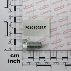 Maschio Gaspardo VITE M12X1,25X25 U5740 8.8 ZB F01010281R
