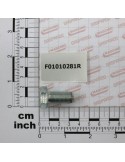 Maschio Gaspardo VITE M12X1,25X25 U5740 8.8 ZB F01010281R