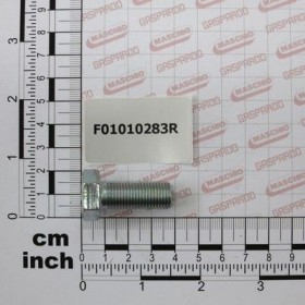 Maschio Gaspardo VITE M12X1,25X30 U5740 8.8 ZB F01010283R