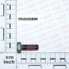 Maschio Gaspardo SURUB M12X1,25X35 U5740 10.9 F01010289R