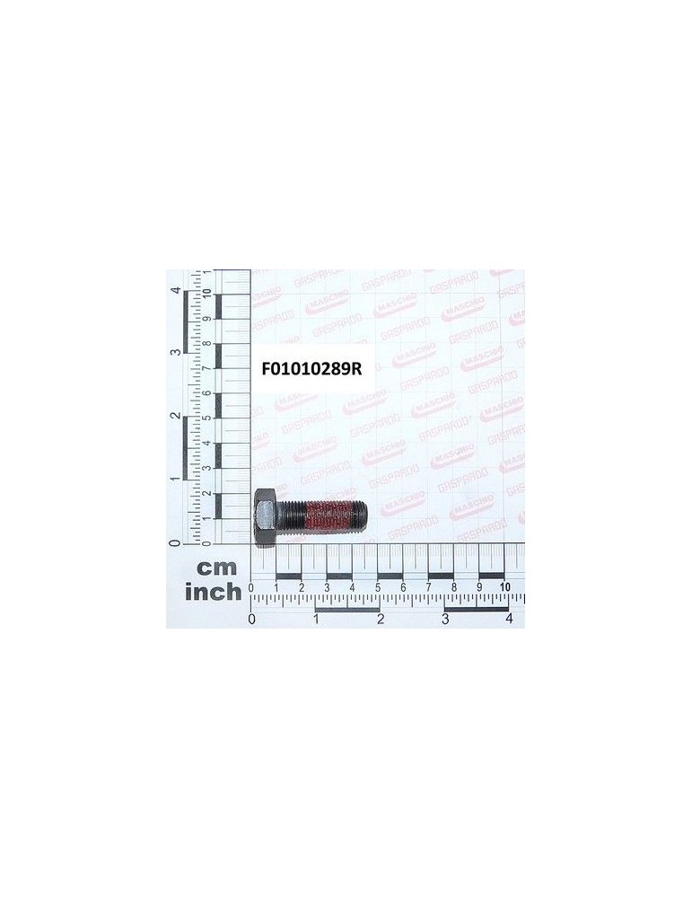 Maschio Gaspardo SURUB M12X1,25X35 U5740 10.9 F01010289R