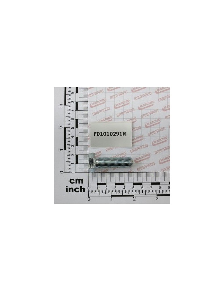 Maschio Gaspardo SURUB M12X1,25X40 U5740 8.8 ZN F01010291R