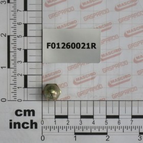 NUT M8           U5721   5.8ZN