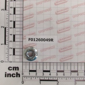 NUT M10X1.5 CH15  D6923   8 ZN