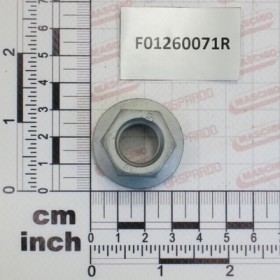 NUT M16X2       D6923   8.8GE